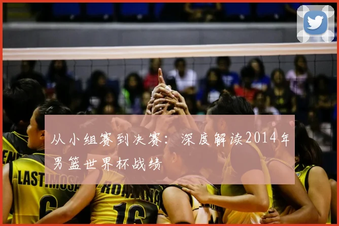 从小组赛到决赛:深度解读2014年男篮世界杯战绩