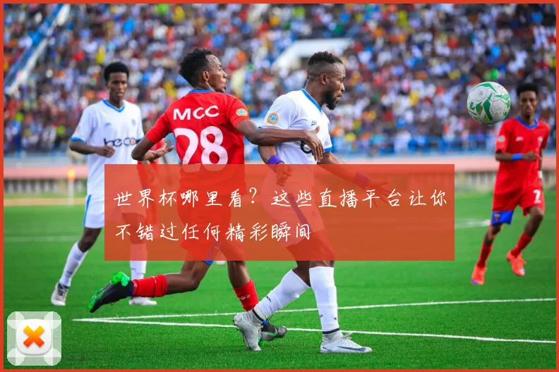 世界杯哪里看?这些直播平台让你不错过任何精彩瞬间