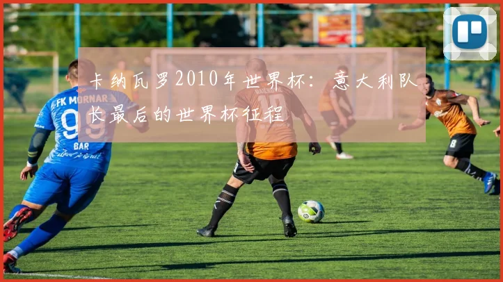 卡纳瓦罗2010年世界杯：意大利队长最后的世界杯征程