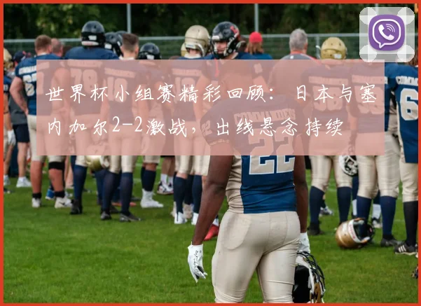 世界杯小组赛精彩回顾:日本与塞内加尔2-2激战,出线悬念持续