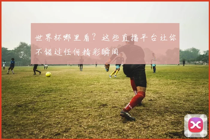 世界杯哪里看?这些直播平台让你不错过任何精彩瞬间