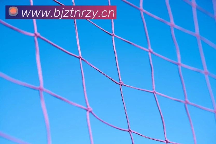 星空体育注册入口发展历程